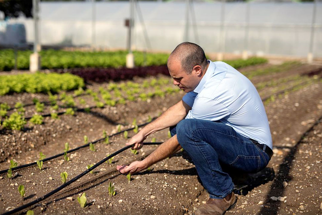 Israel-irrigation